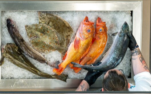 Zerbst holt einen Fisch vom Eis. | © WFB/Björn Hake 