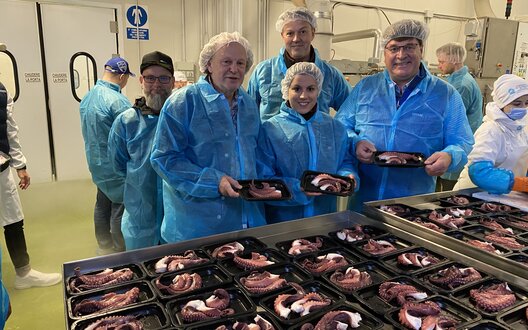 Mehrere Menschen machen eine Qualitätskontrolle vom Tintenfisch in der Produktion | © Transgourmet Seafood Bremerhaven