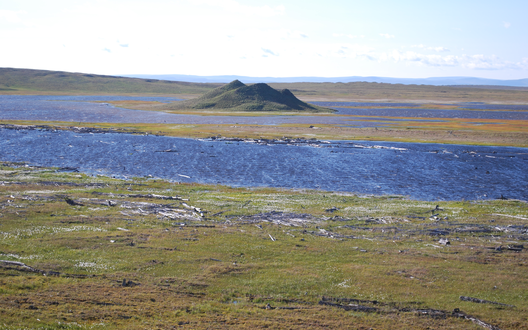 B2_AWI_Permafrost_20140824_Permafrost_Lena2014_001_TOpel